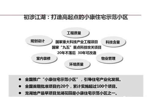 龍湖企業(yè)運(yùn)營精細(xì)化管理的信息咨詢服務(wù)